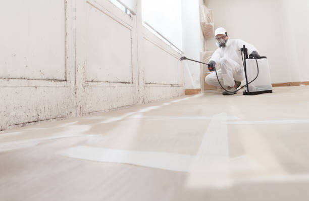 24/7 Emergency Crawl Space Mold Removal experts in Heathsville, VA