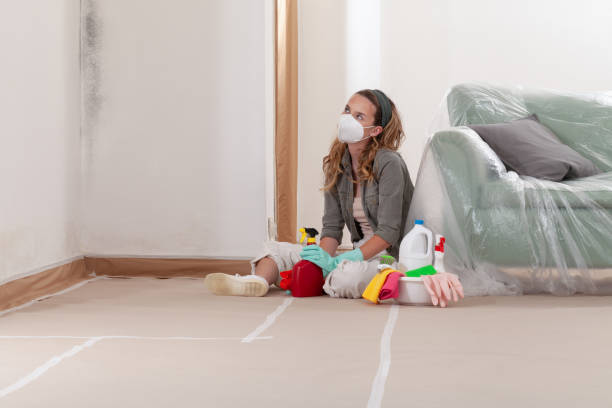 Reliable Crawl Space Mold Removal contractor in Heathsville, VA by WQB Mold Removal
