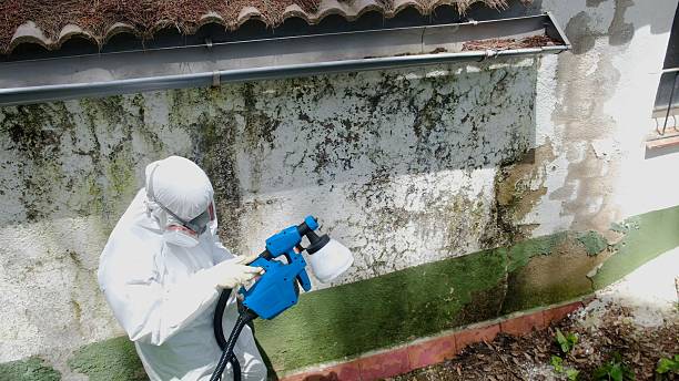 Top rated local Crawl Space Mold Removal specialists in Heathsville, VA